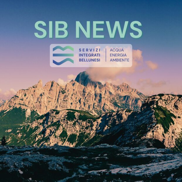 Sib News